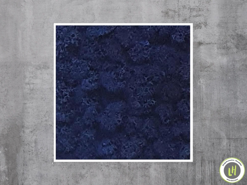 Moosbild eckig Islandmoos - Blau