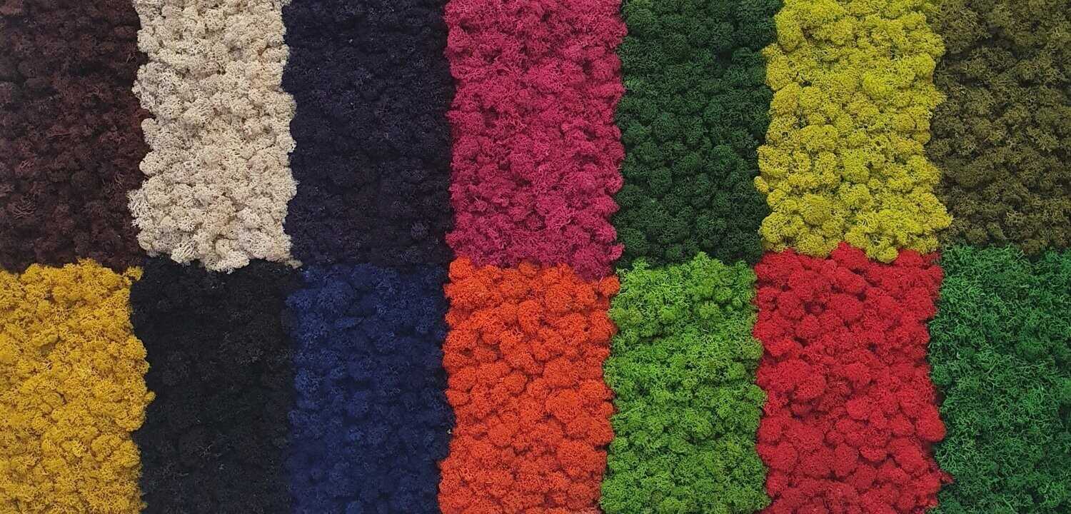 Moosbild eckig, bunt
